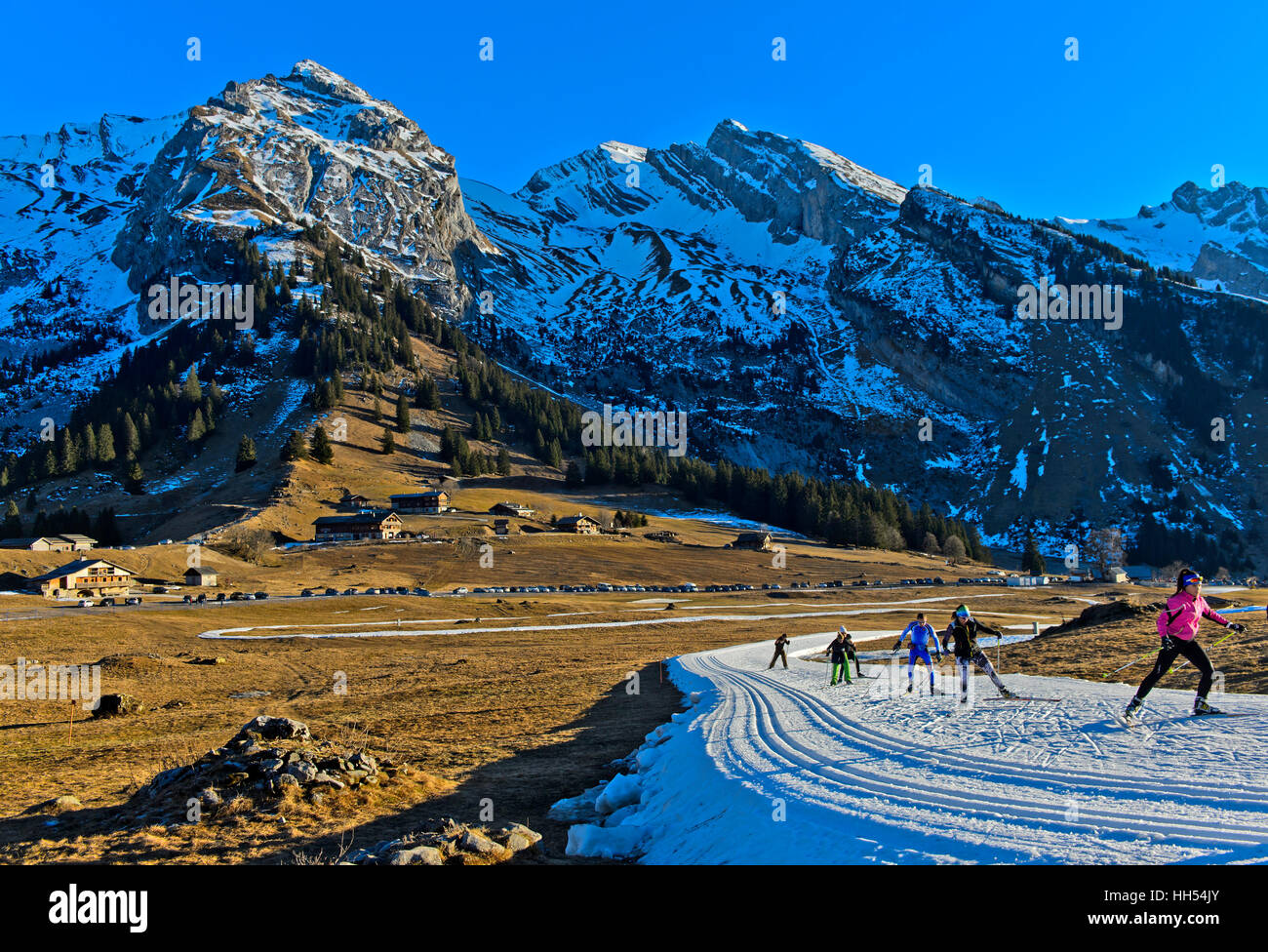 Cross-country skiers practicing on cross-country skiing runs of artificial snow, Espace Nordique des Confins at La Clusaz,France Stock Photo
