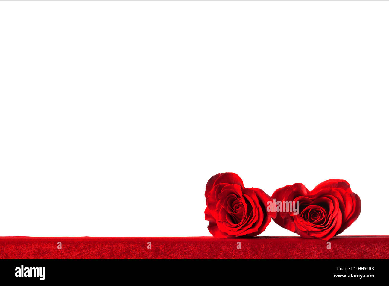 Two heart shaped red roses on fabric isolated on white background ...