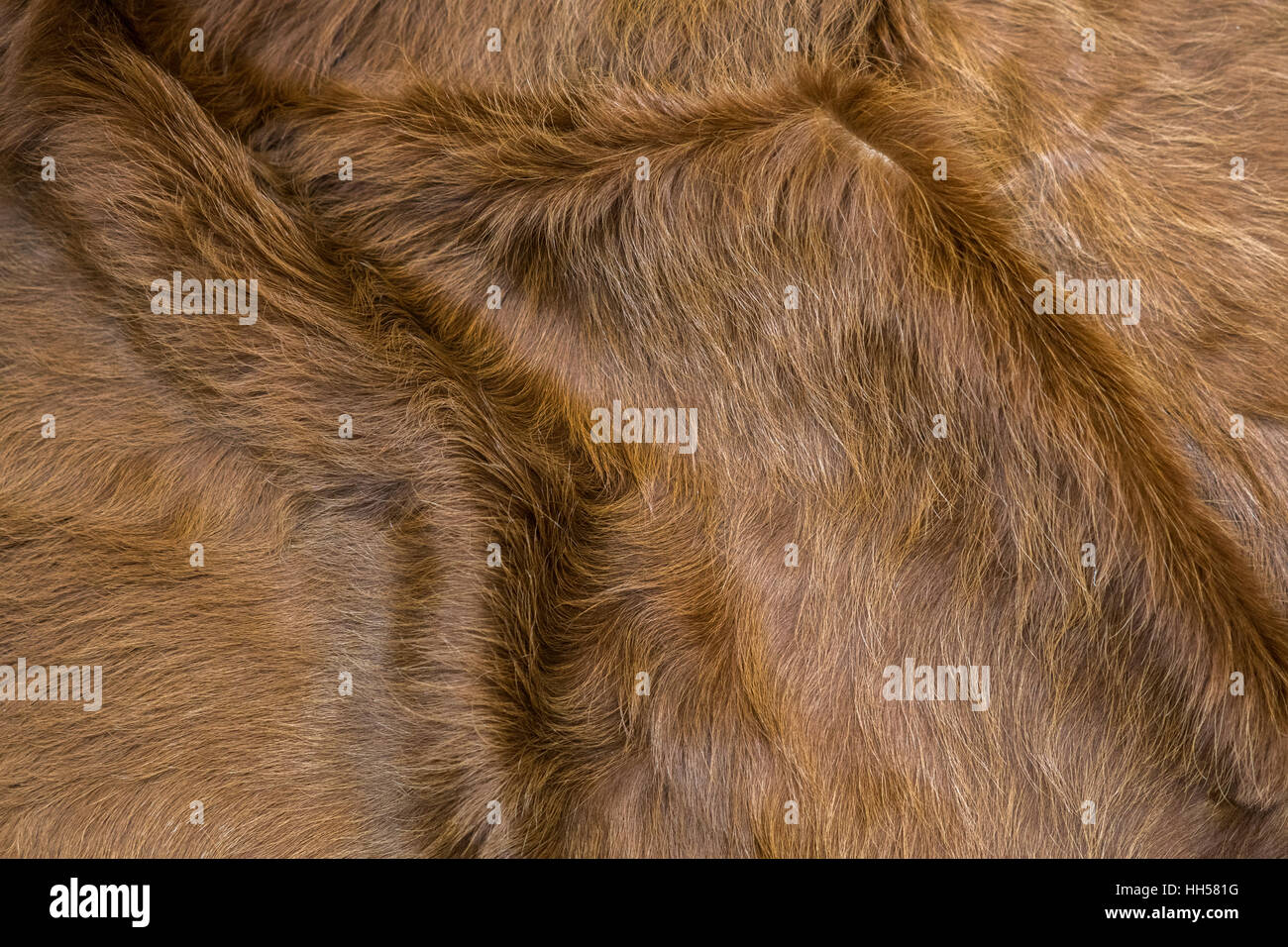 skin of a cow Stock Photo Alamy