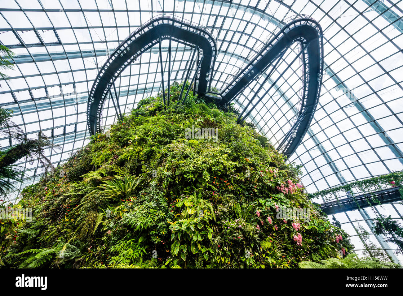 Singapore, Gardens by the Bay, lush vegetation mountain with cloud walk within the giant Cloud Forest  green house Stock Photo