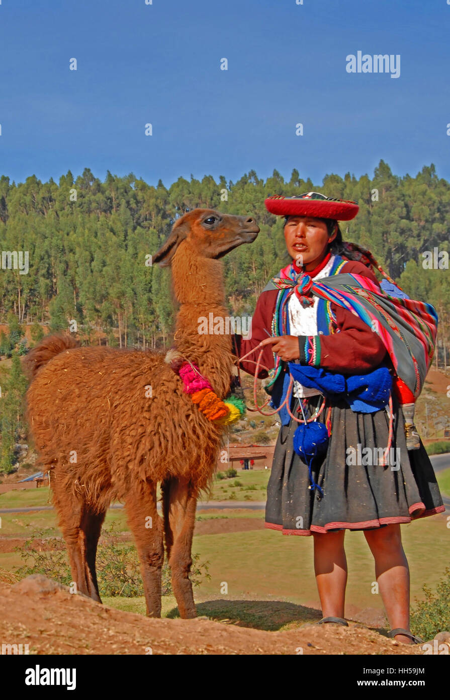 peruvian woman and his lama, Cuzco, Peru, South America Stock Photo