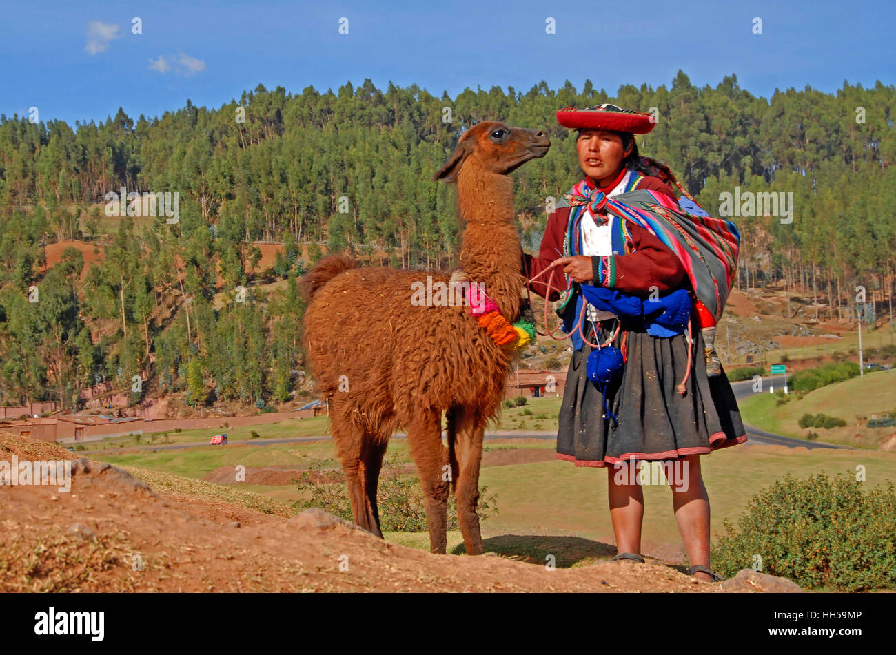 peruvian woman and his lama, Cuzco, Peru, South America Stock Photo