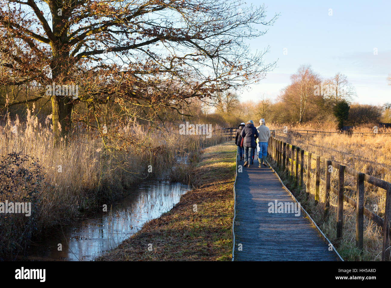 People walking,  Wicken Fen, Cambridgeshire UK Stock Photo