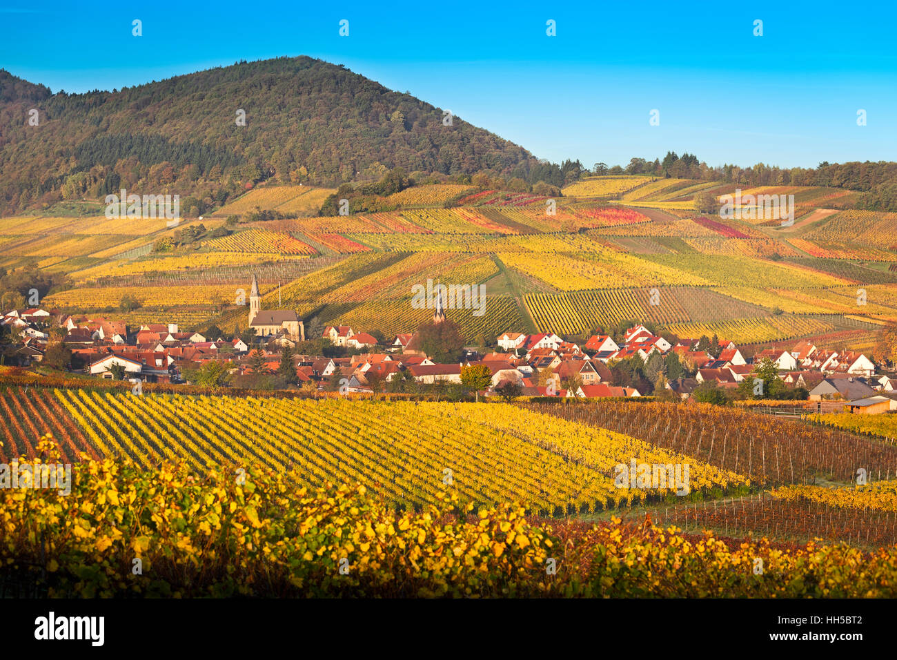 Village with vineyards at autumn, Pfalz, Germany Stock Photo