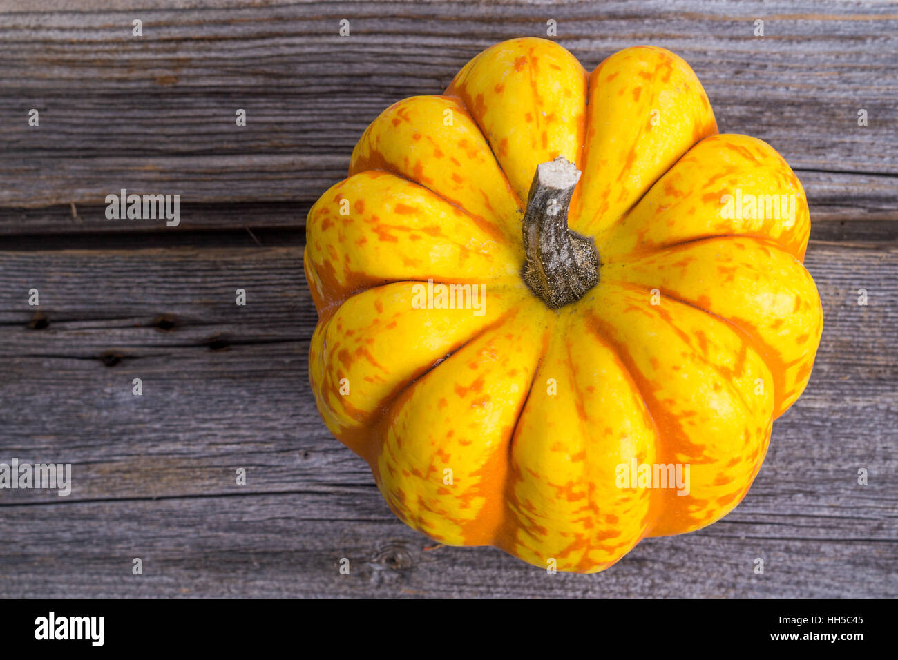 orange carnival squash on rustic wood plank background Stock Photo