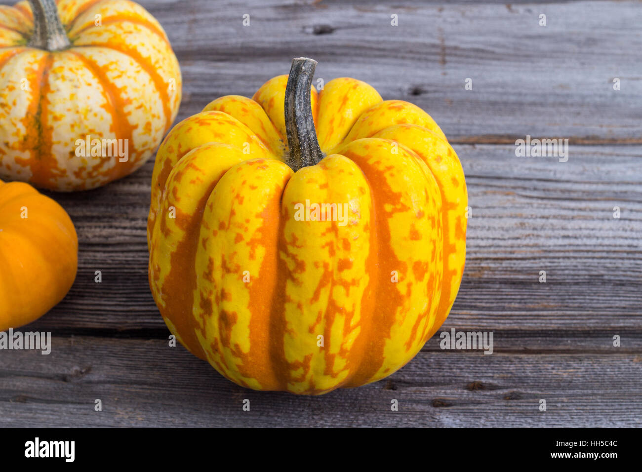 orange carnival squash on rustic wood plank background Stock Photo