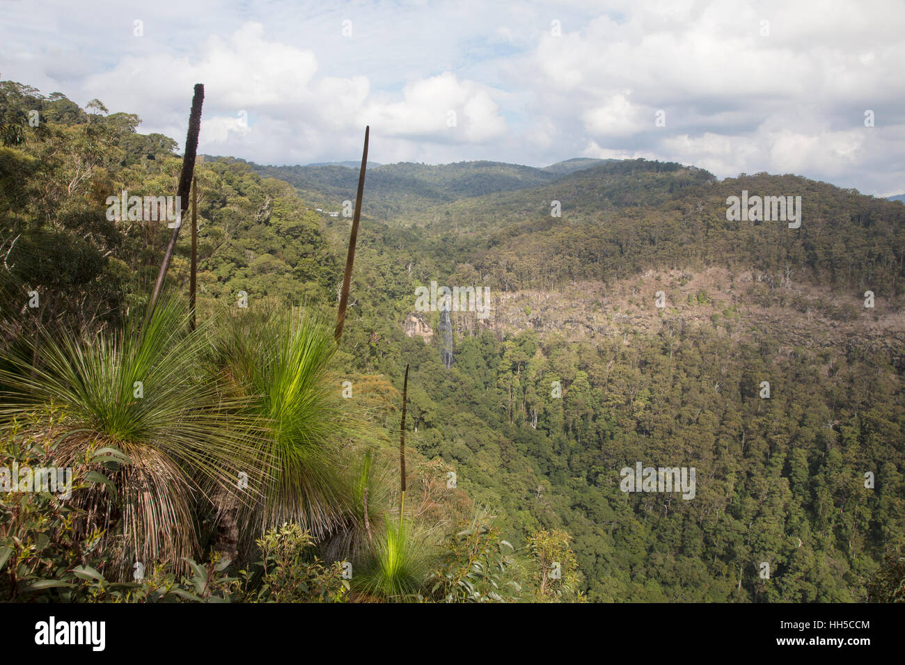 The lamington national park is a national park hi-res stock photography ...
