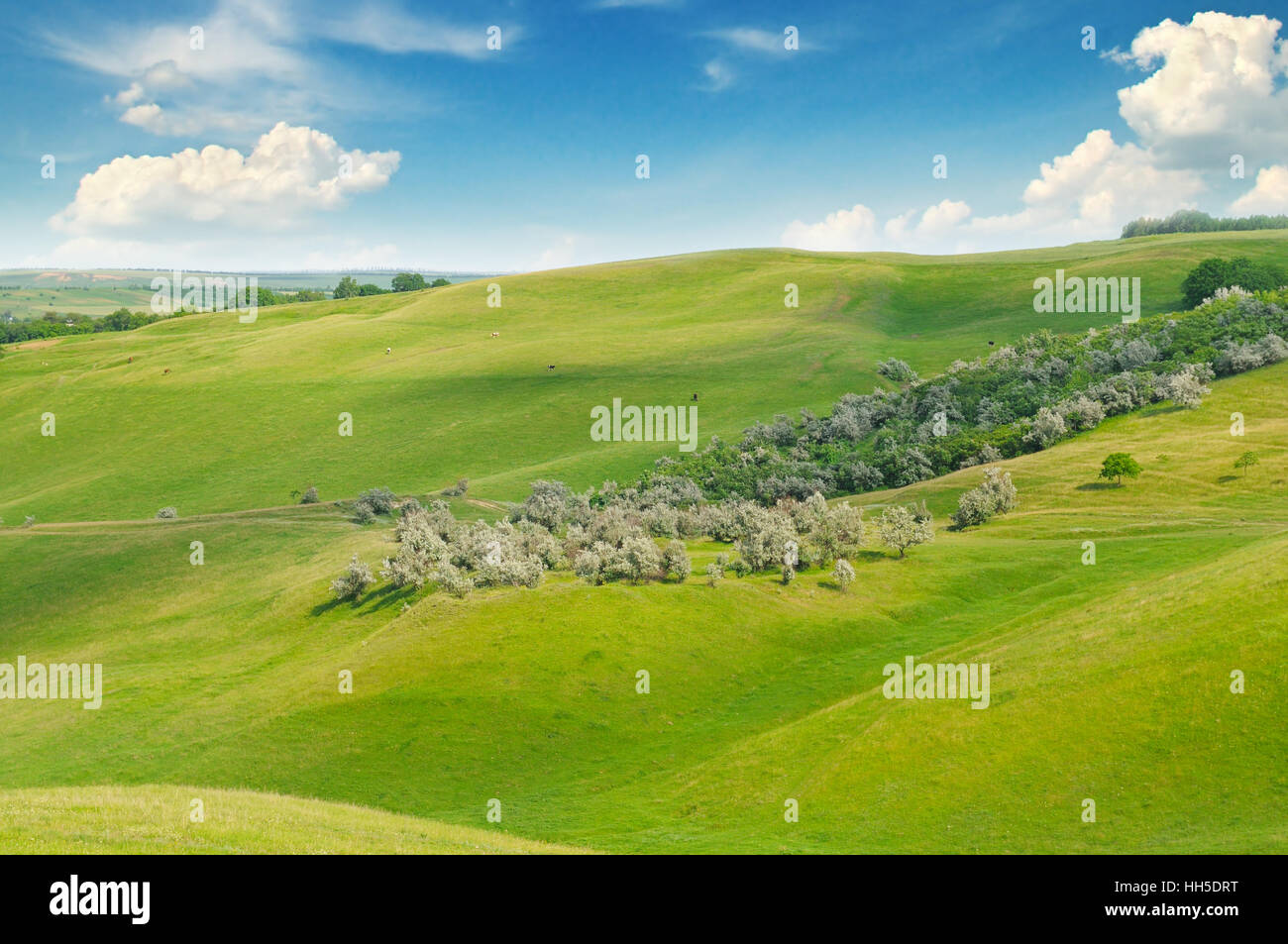 green field and blue sky with light clouds Stock Photo - Alamy