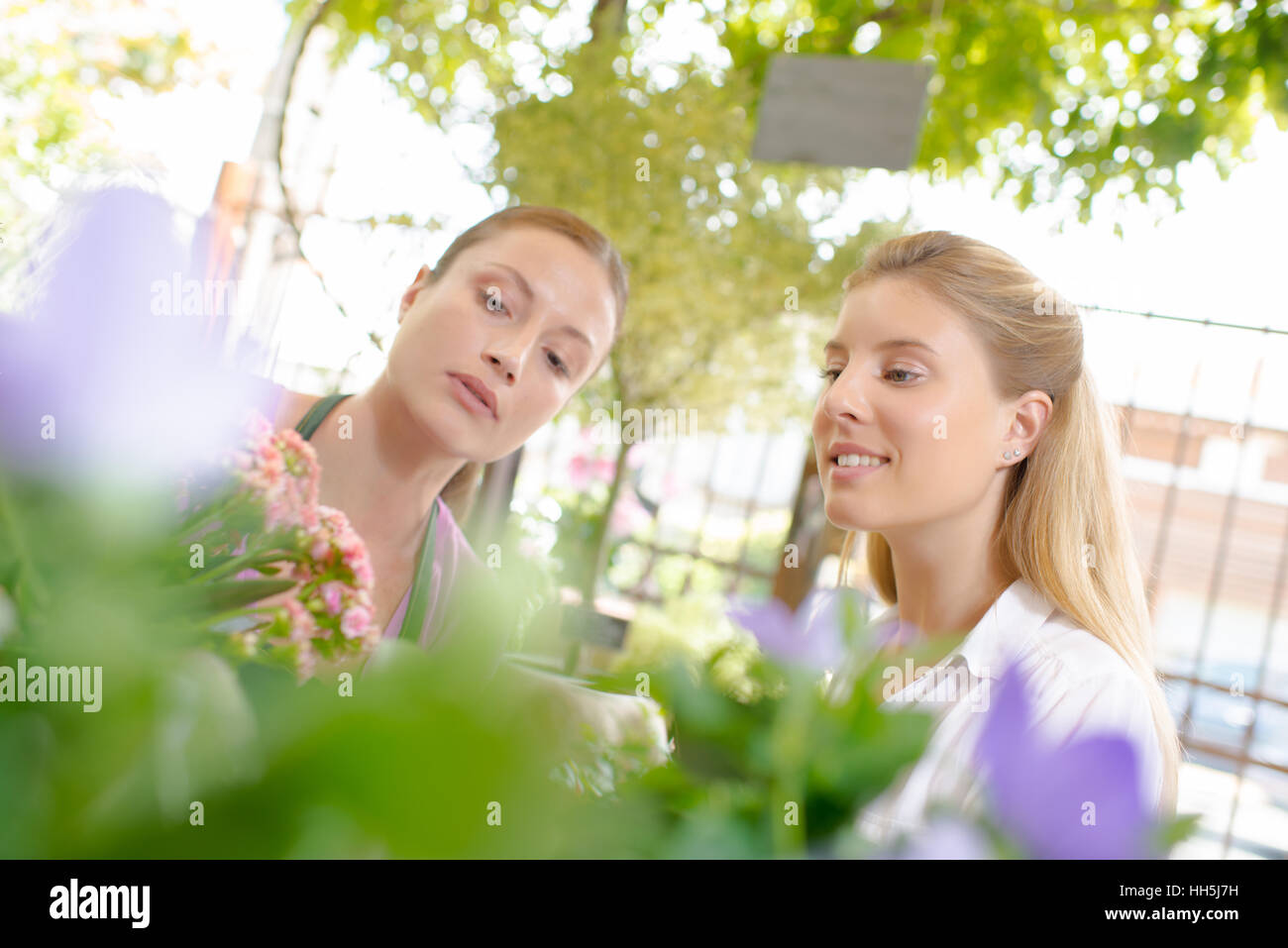 Florist selling flowers Stock Photo Alamy