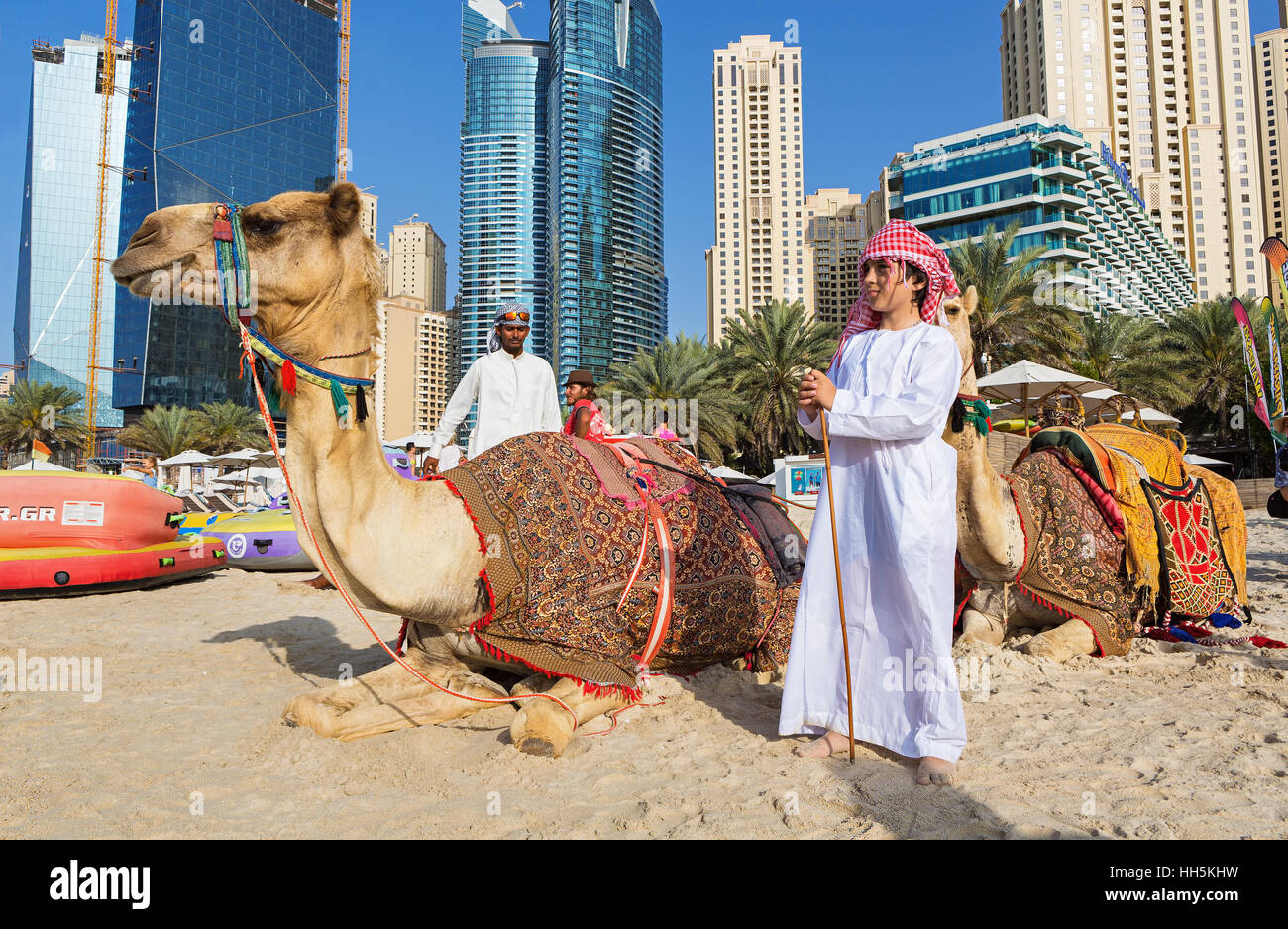 DUBAI MARINA,UNITED ARAB EMIRATES-MARCH 10, 2016: Dubai Marina skyscrapers and camels on the beach,Dubai,United Arab Emirates Stock Photo