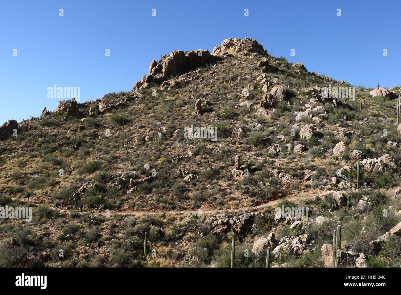 Hiker on mountain Sonoran desert Tuscon Arizona Stock Photo