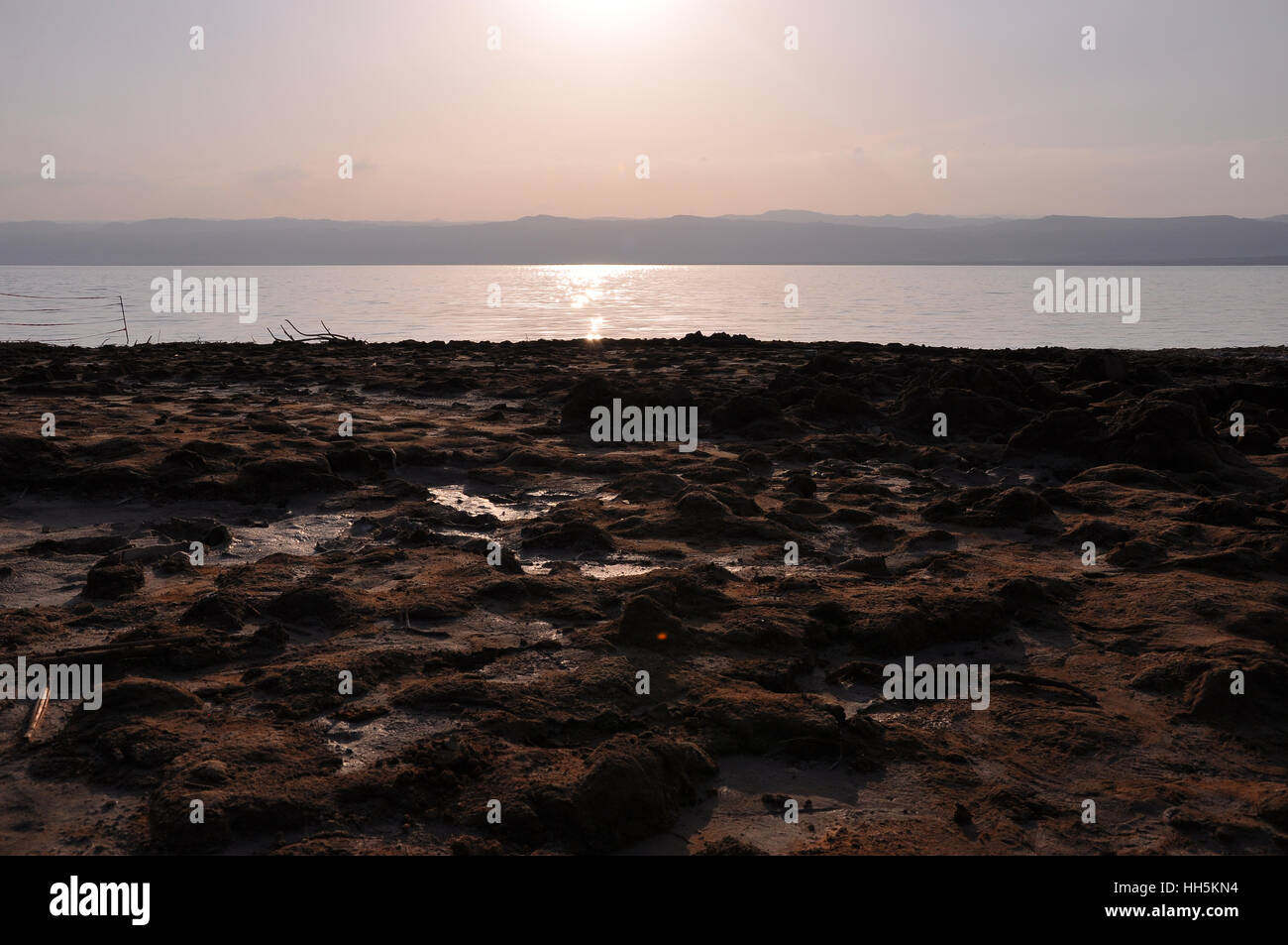 Dead Sea mud shore Stock Photo Alamy
