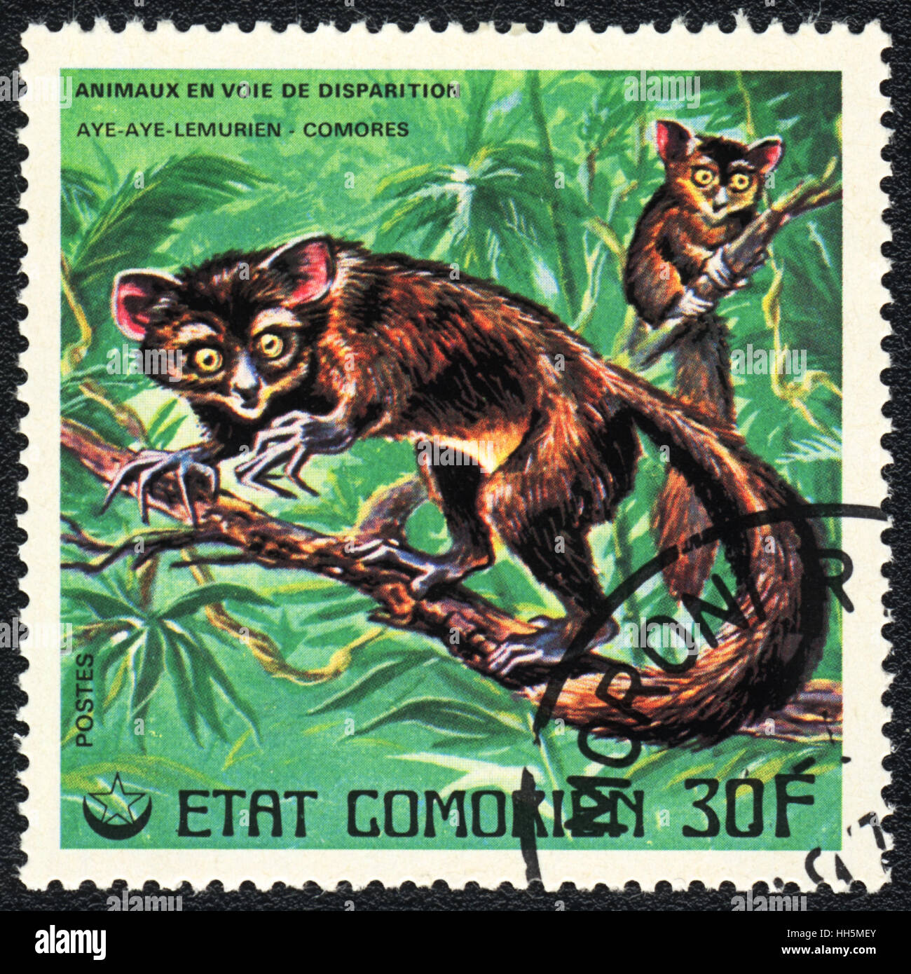 A postage stamp printed in Comoros shows  a Aye-aye lemurs, series, circa 1980 Stock Photo