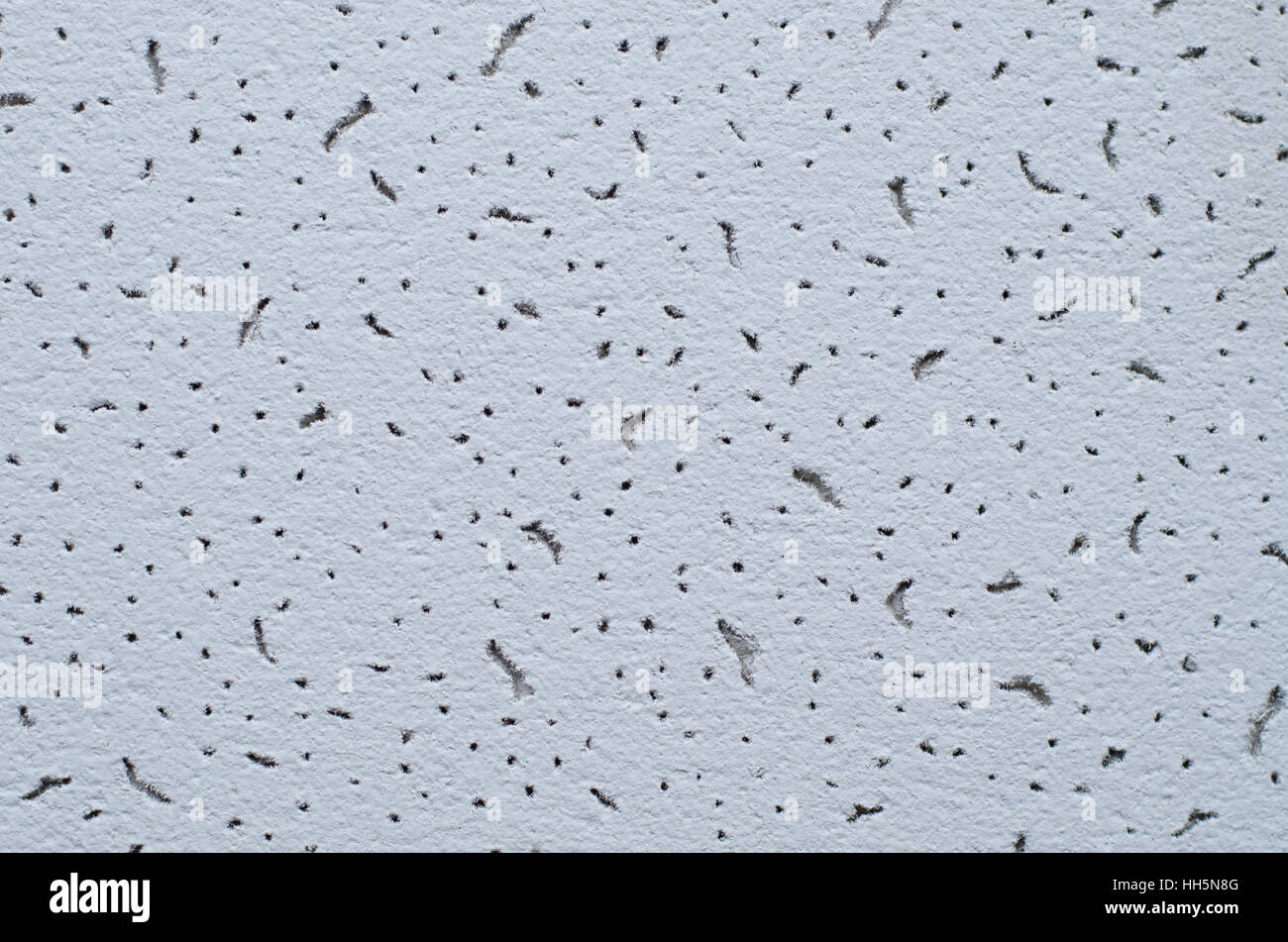 a light sheet of drywall texture for background macro Stock Photo - Alamy