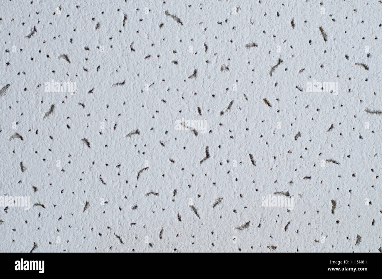 Stomp brush style drywall texture from the 1980s. - Stock Photo [95734232]  - PIXTA