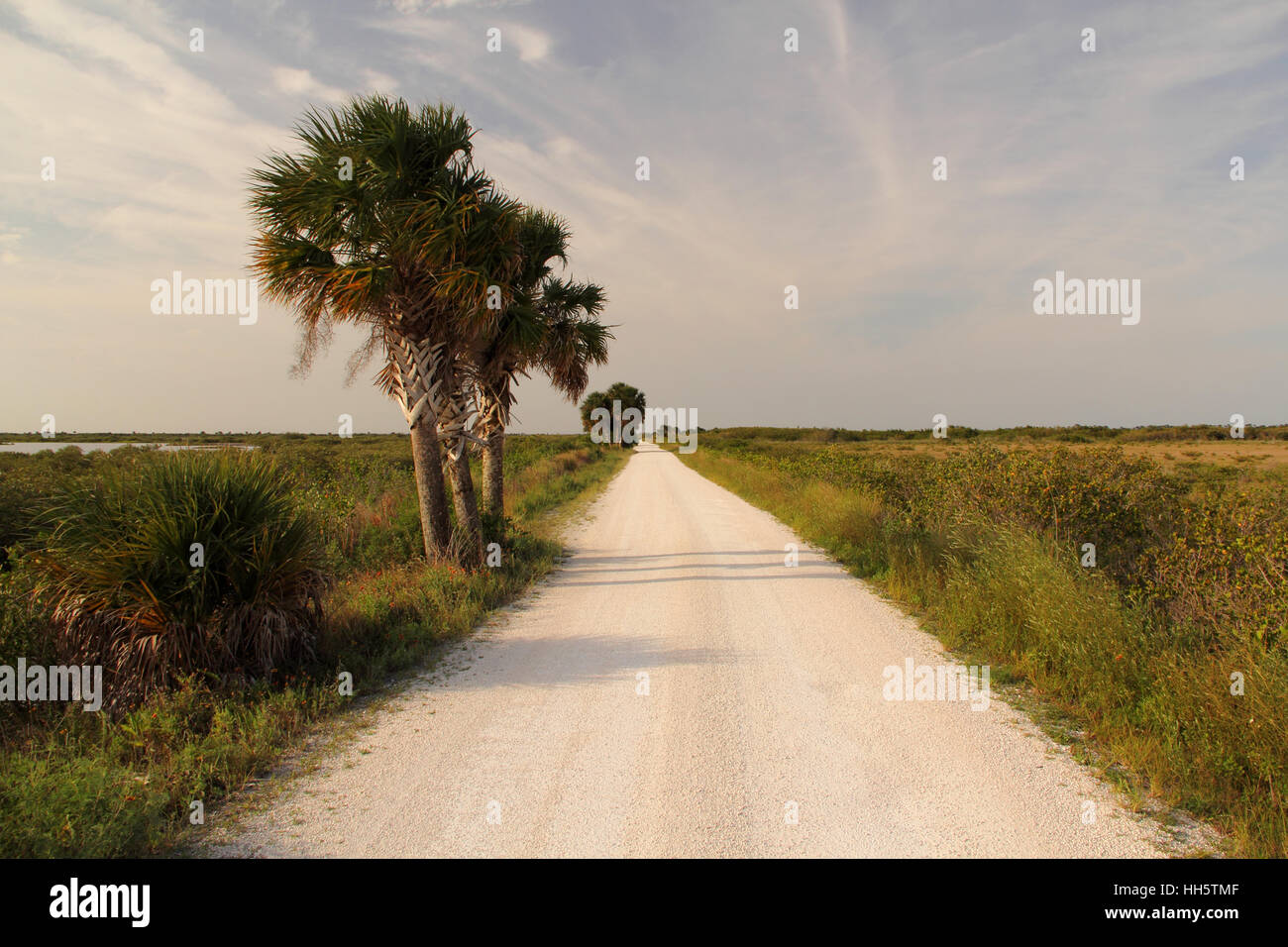 Scenic Black Point Drive, Merritt Island National Wildlife Refuge ...