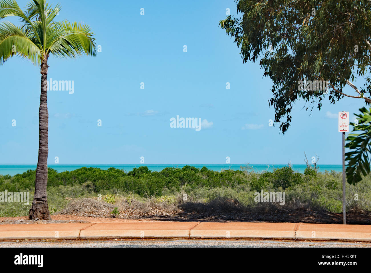 Palm tree by the beach in Broome, Western Australia with blue sky