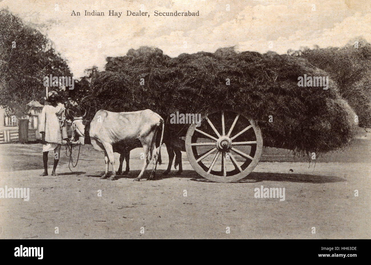 Indian hay dealer and cart, Secunderabad, India Stock Photo