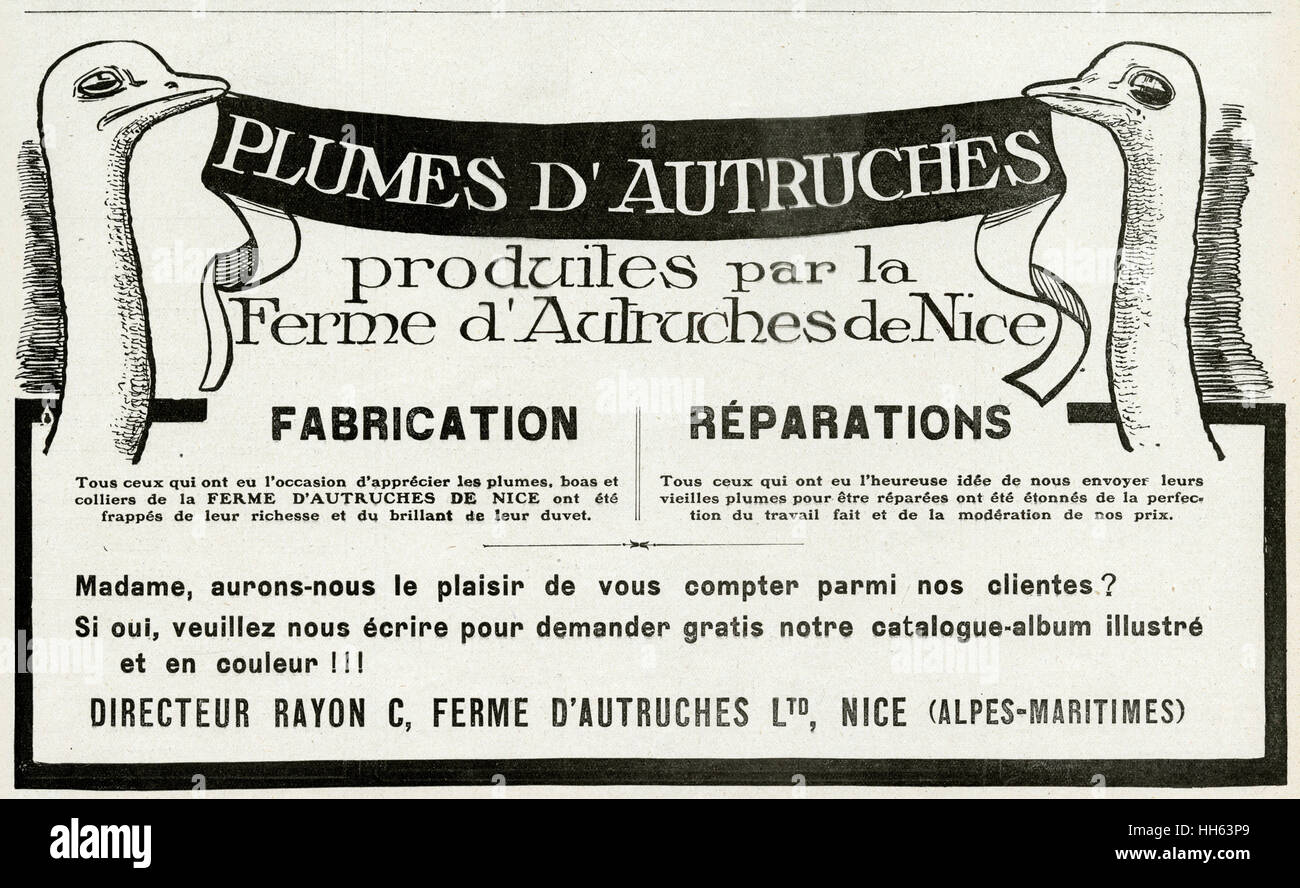 Advert for Plumes D'autruches 1912 Stock Photo