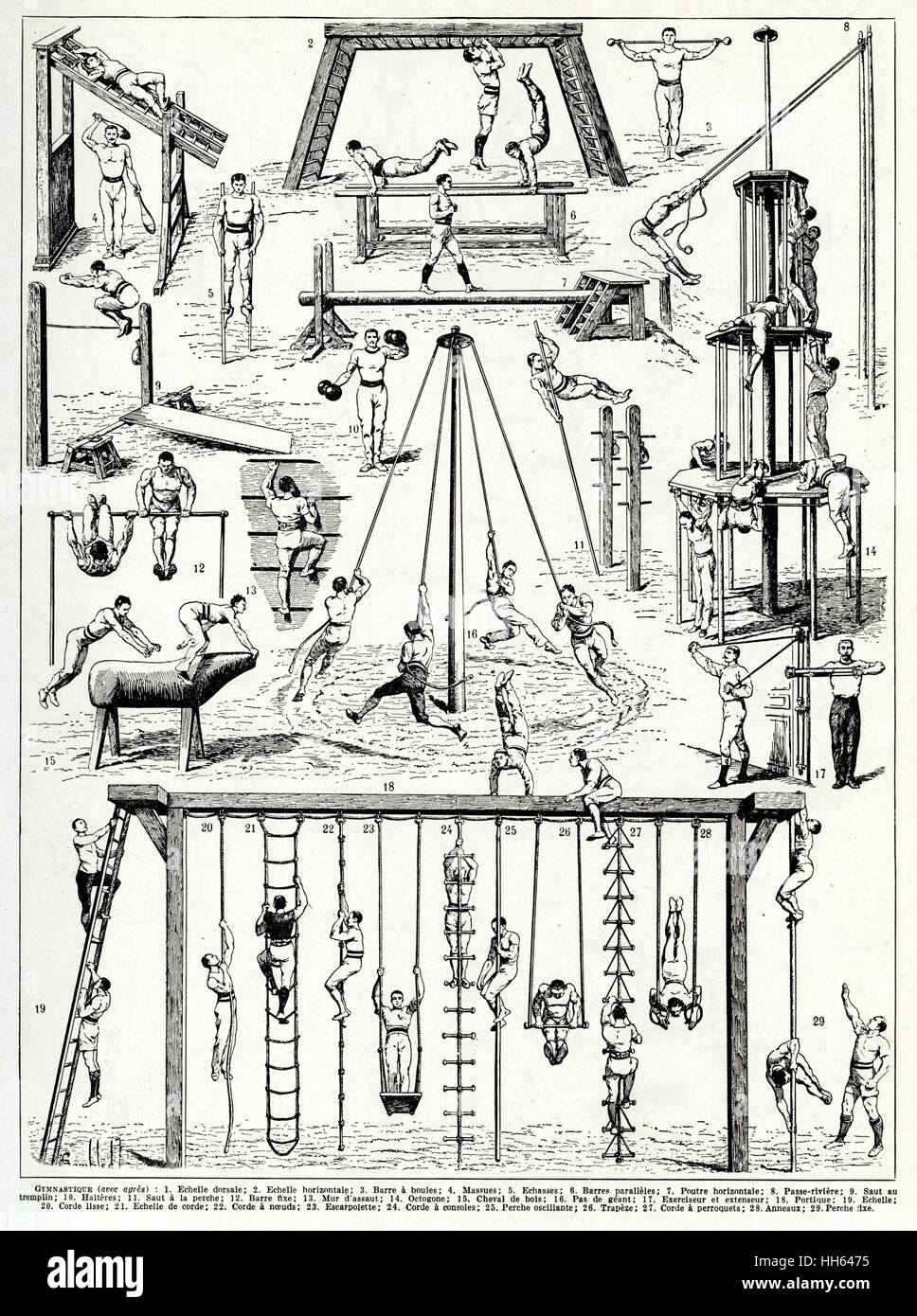Page from Larousse Encyclopedia showing various disciplines in