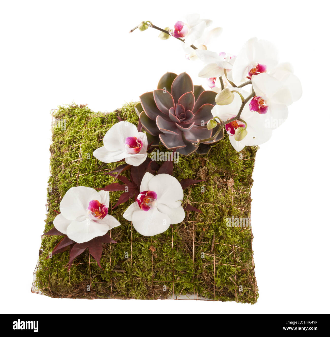 A flower arrangement displayed on a moss pillow Stock Photo