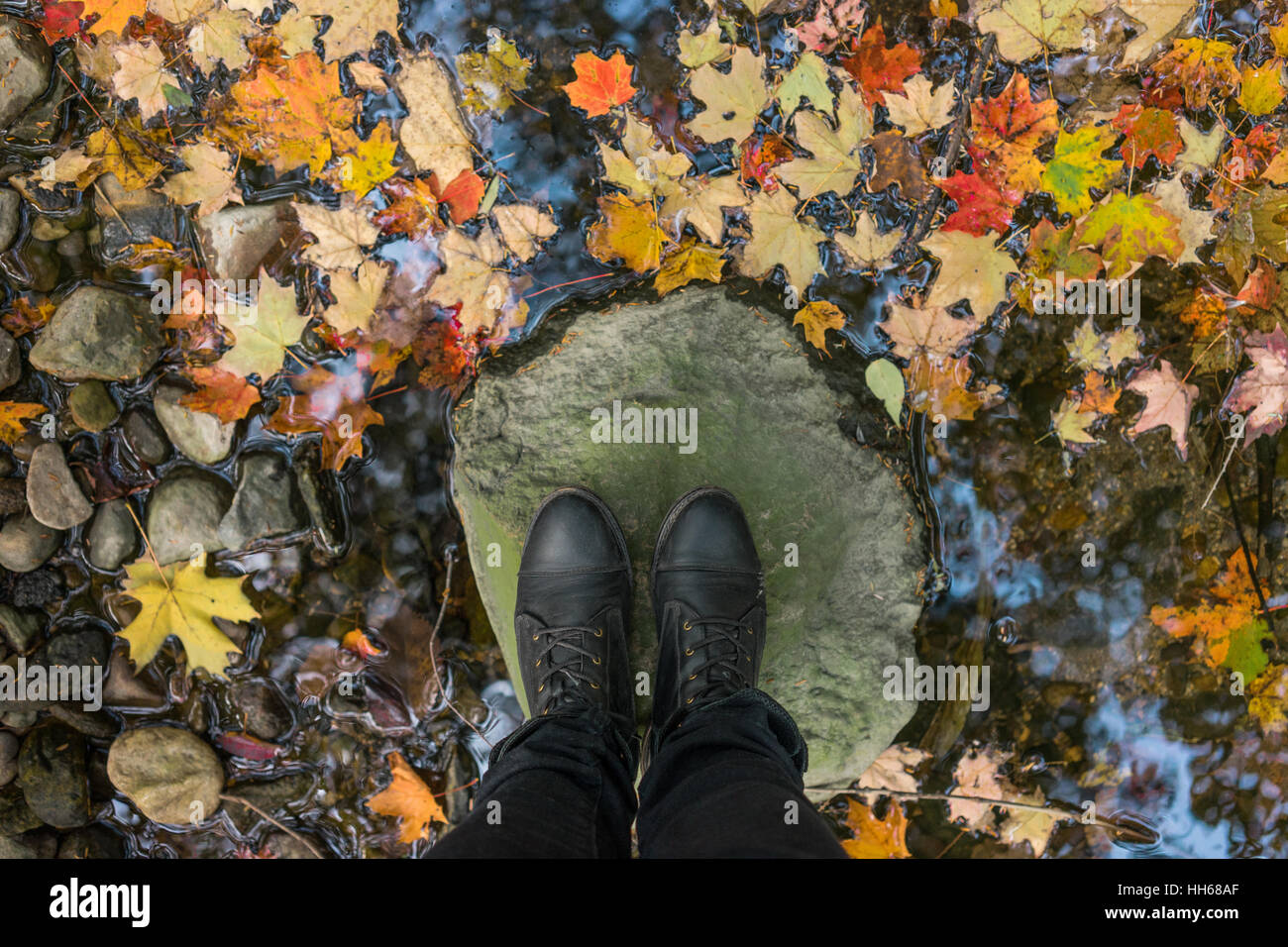 Autumn leaves floating in the stream past woman's feet. Looking down at feet in black boots standing on a rock in the middle of a stream full of fall Stock Photo