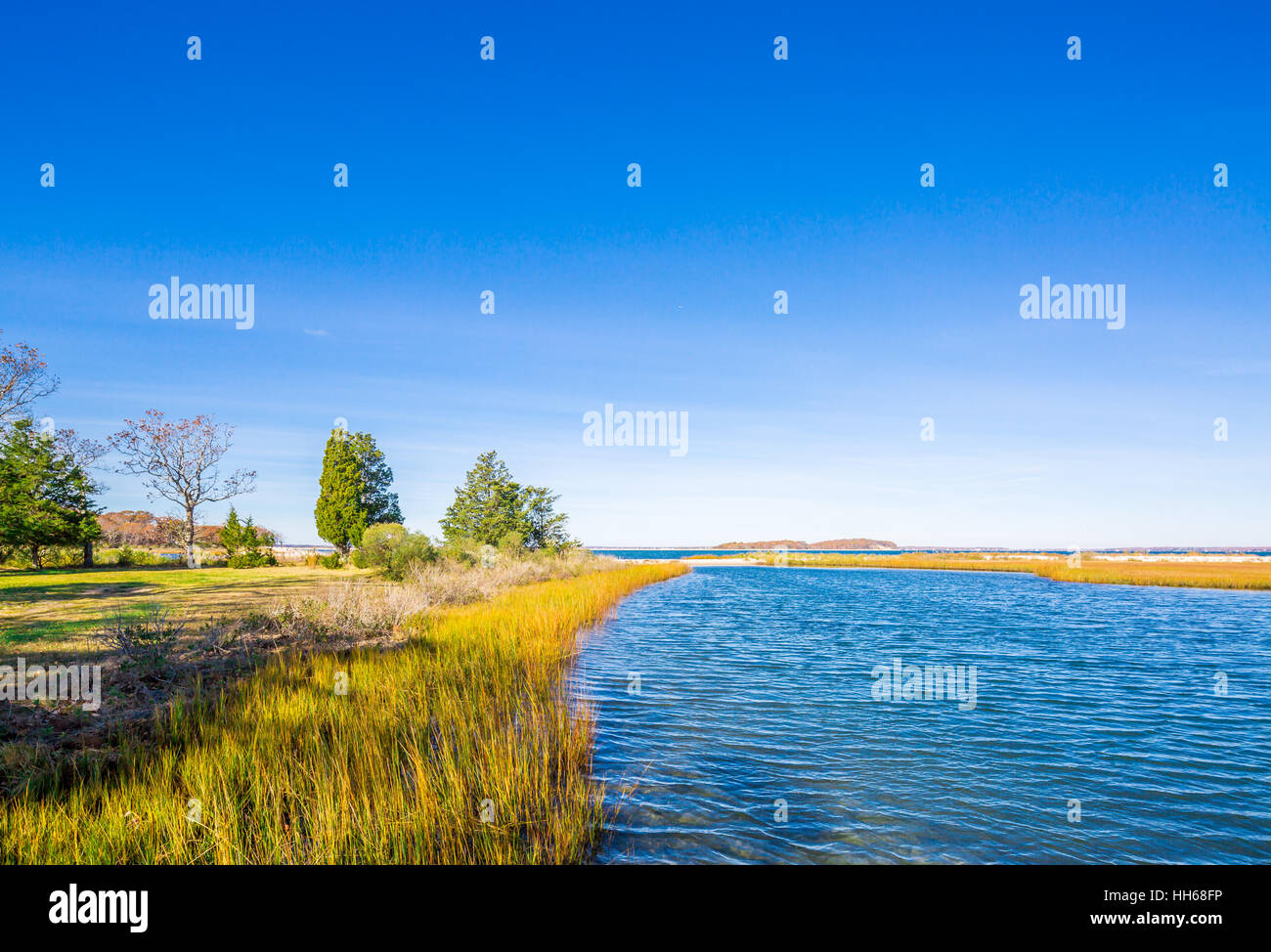 wetland and salt water in a calm bay Stock Photo