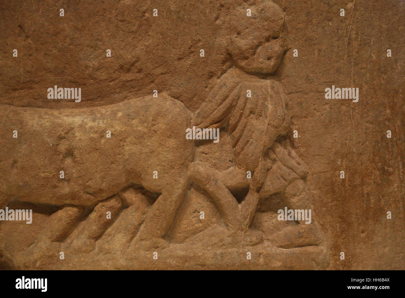 Roman Hispania. Tilling the Land. Relief. 1st C. Sandstone. Man driving a yoke of oxen. Castulo, Linares, Jaen, Spain. National Archaeological Museum, Stock Photo