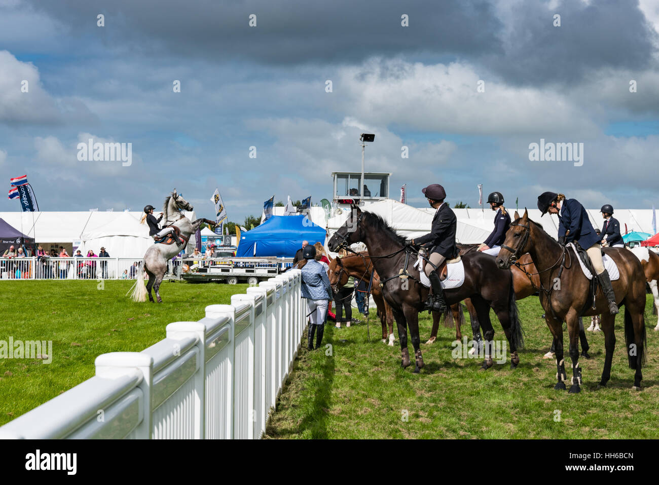 Horse rearing with female rider before competing in the show jumping at the Anglesey Show Stock Photo