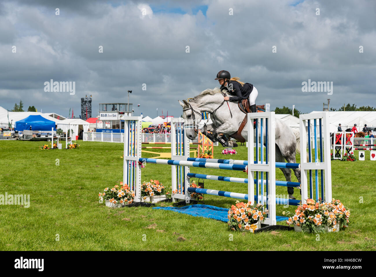 Female showjumper on a grey horse launches over a fence at the Anglesey
