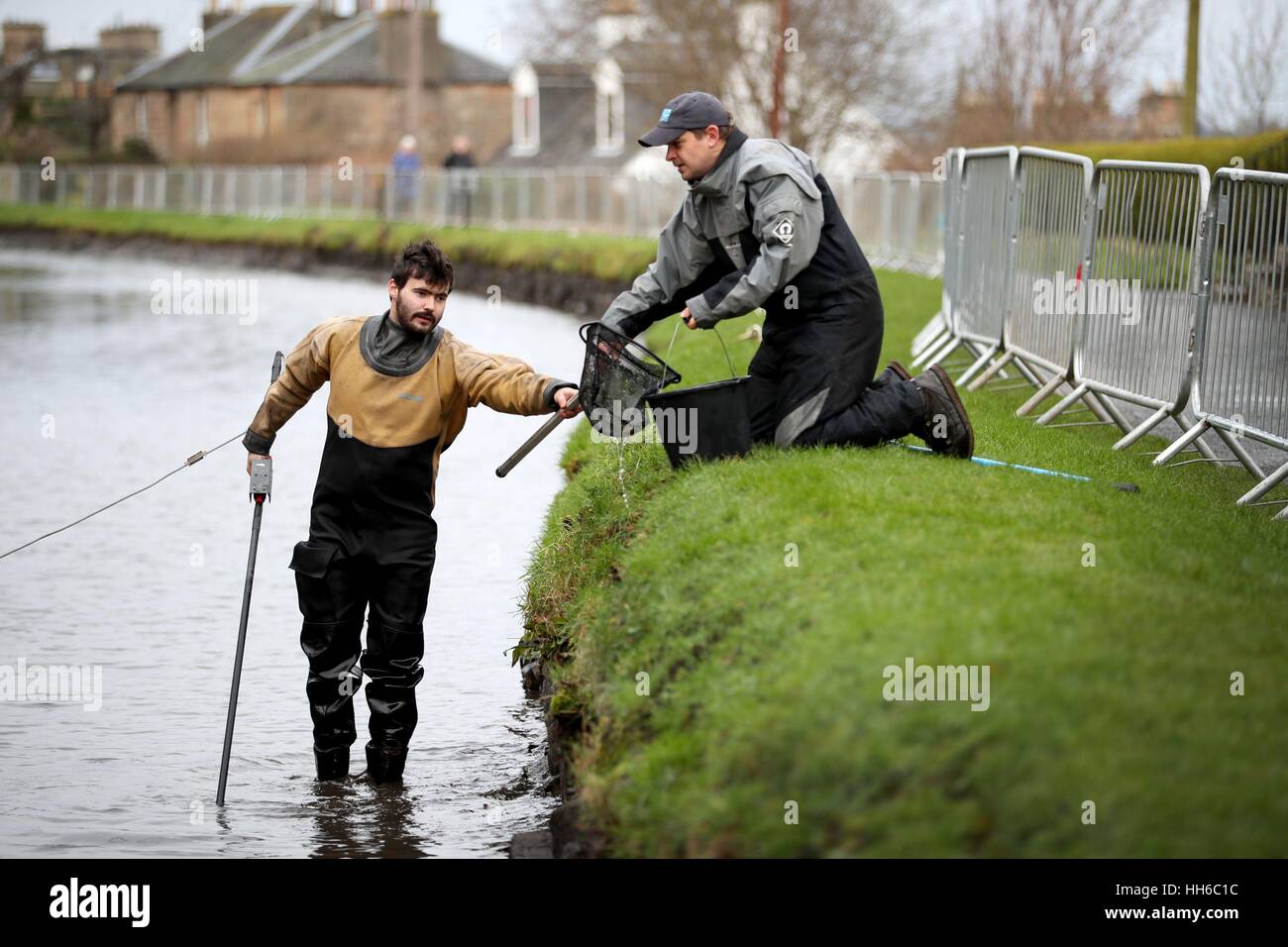 Fishery Scientists From Left Tom Brook And Peter Dennis Use The Electro Fishing Method To Collect Fish From The Union Canal At Linlithgow Before A Three Mile Stretch Is Drained For Maintenance Checks
