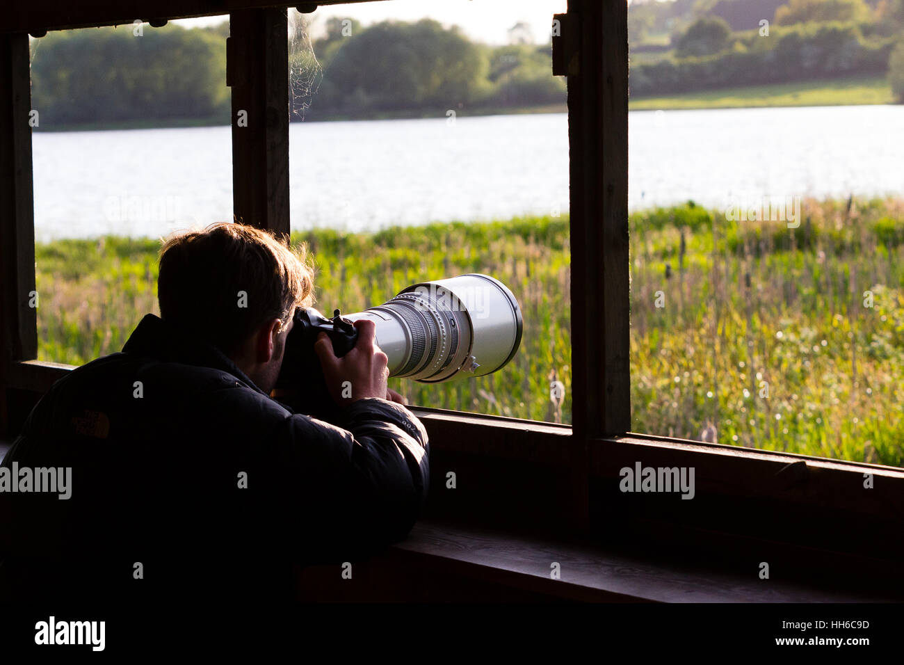 Leicestershire, UK. Wildlife photographer using camera in bird-watching hide. Stock Photo