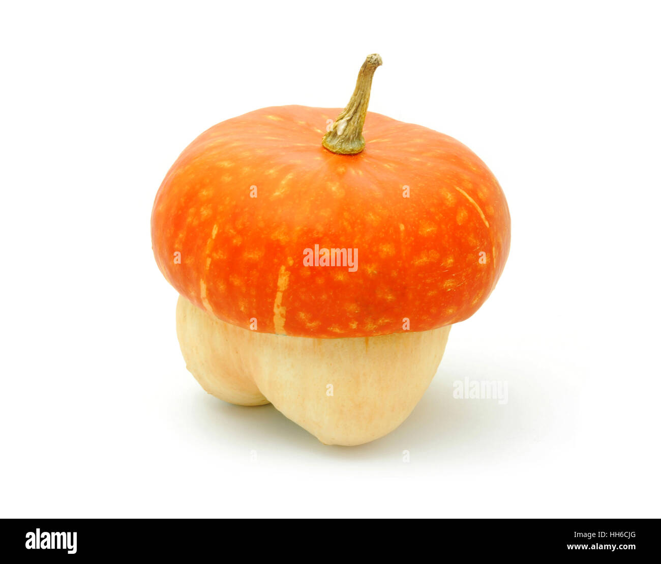 Small pumpkin, Halloween decoration isolated on white Stock Photo