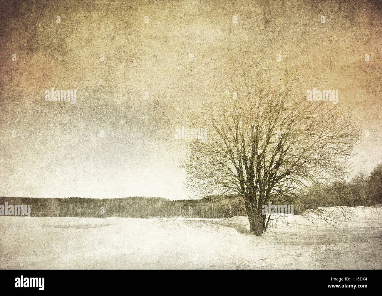 grunge image of a tree over vintage background Stock Photo