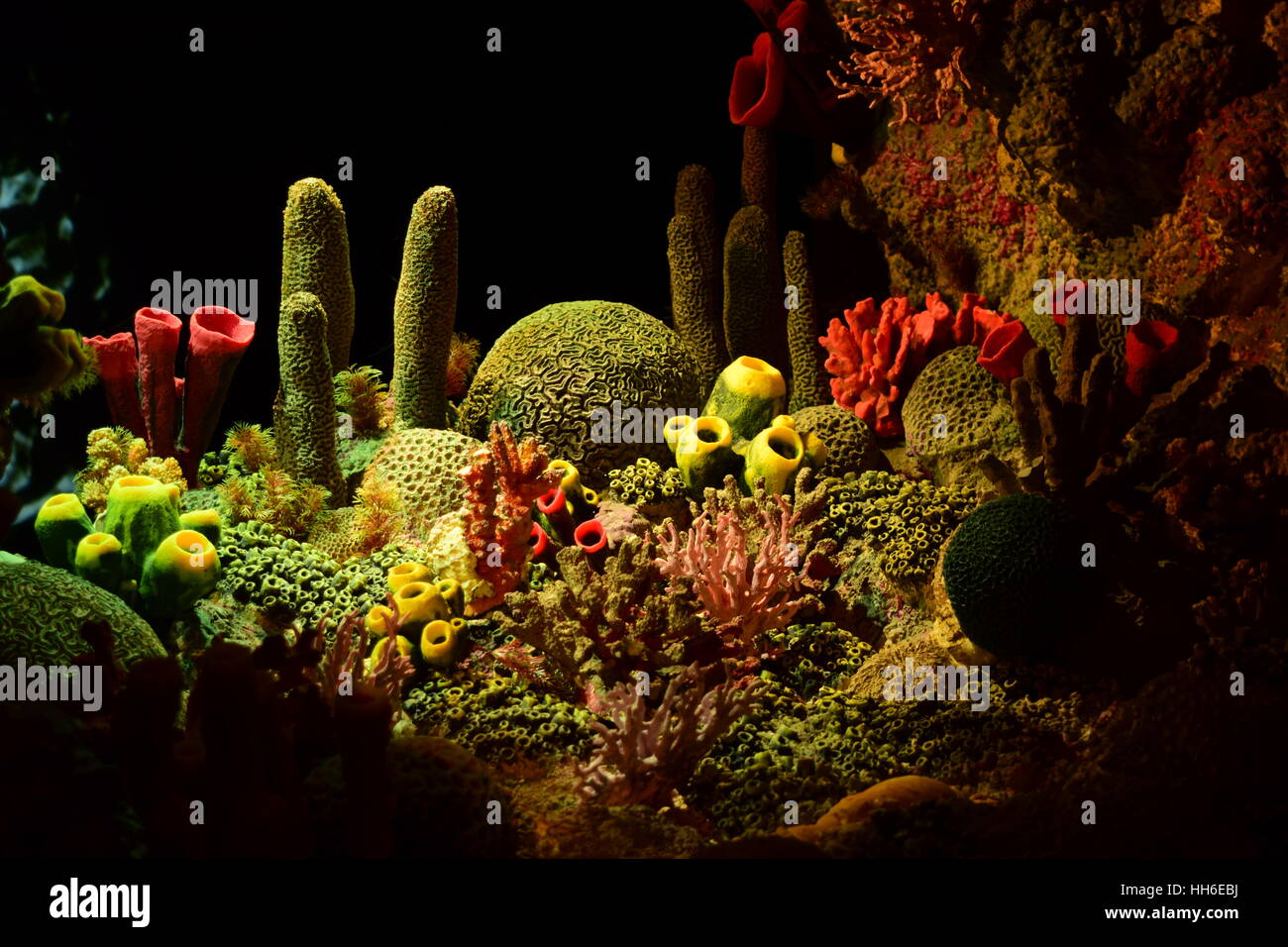 this is a still of a imitation coral reef. Stock Photo