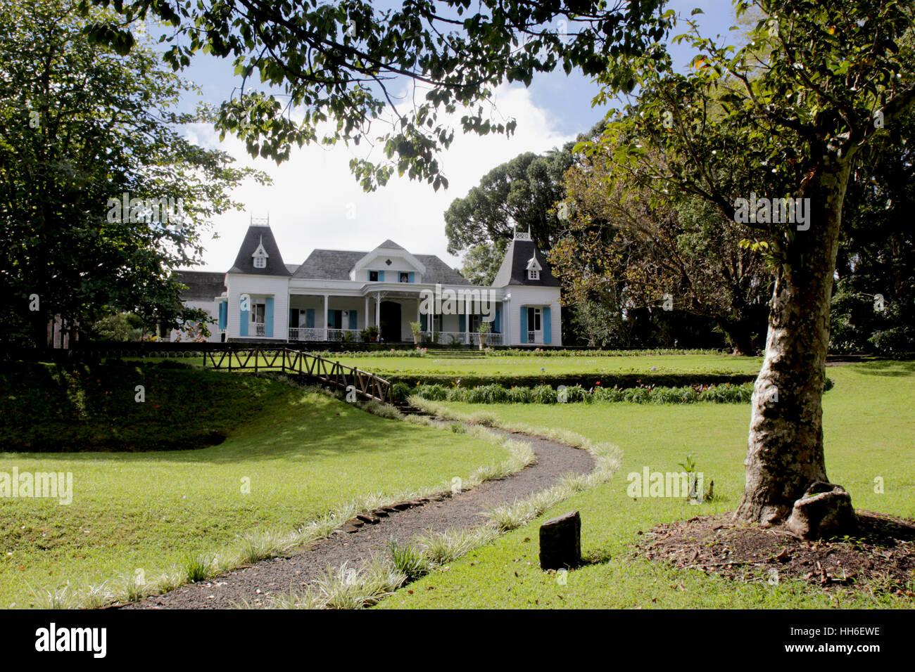une petite promenade à l'abri des camphriers, plantes exotiques et certains arbres endémiques de l'ile. une petite promenade à l'abri des camphriers, Stock Photo