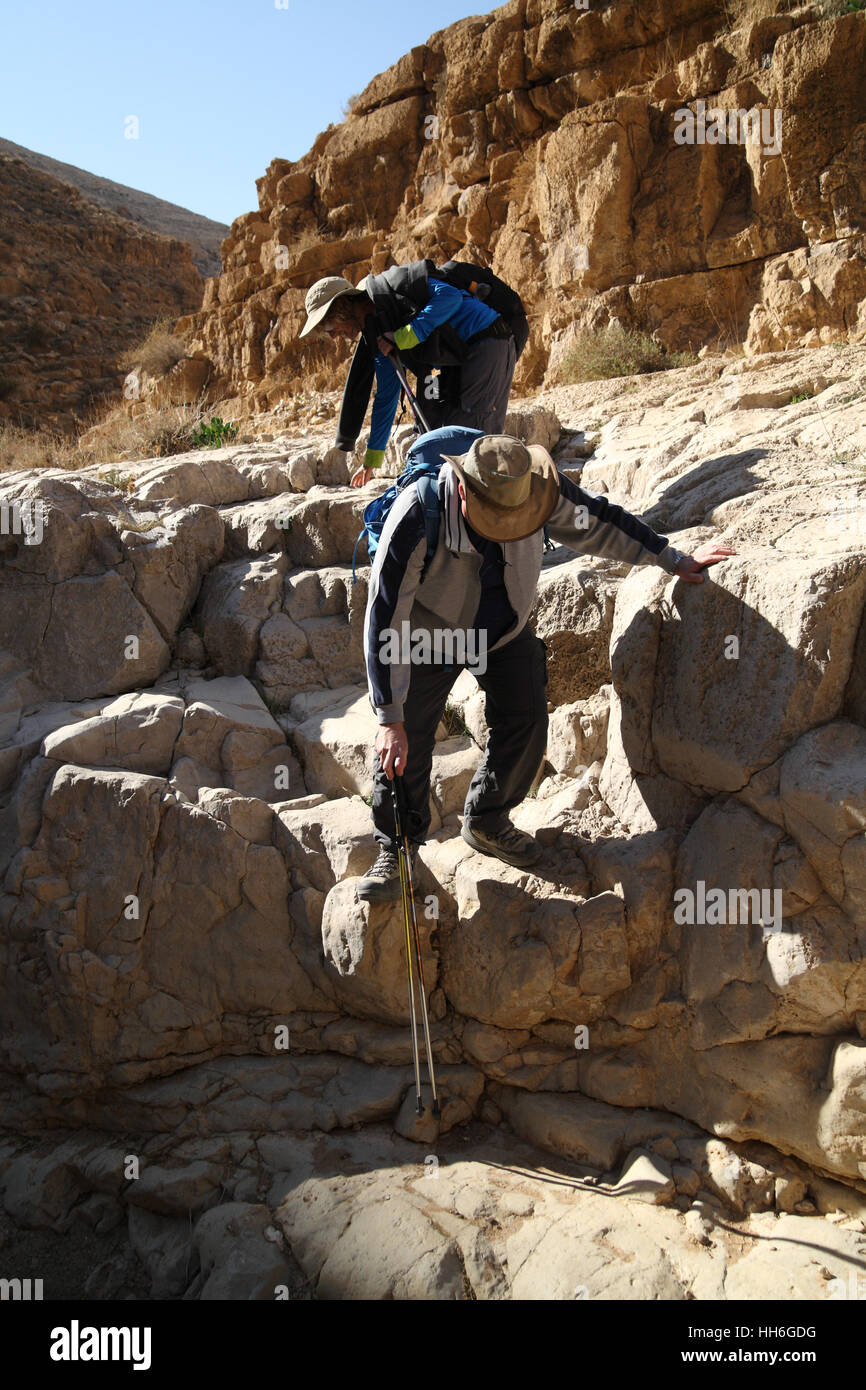 Senior citizen hiker uses his hand and hiking sticks for support coming down a high rock of a dry waterfall, his friend follows, Judean Desert. Stock Photo