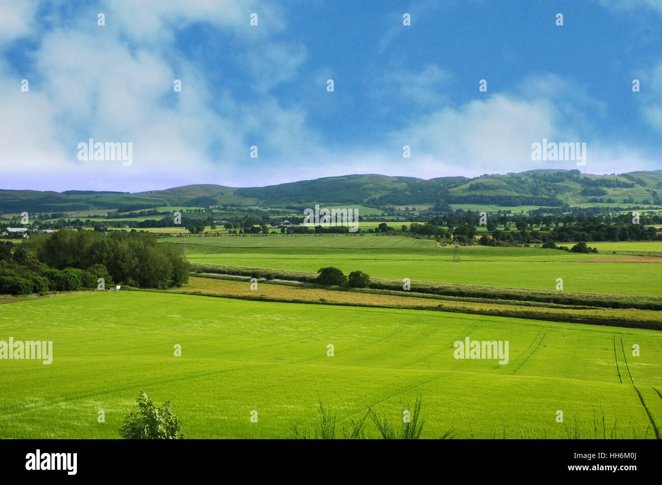 Landscape with green grass and blue cloudy sky Stock Photo - Alamy