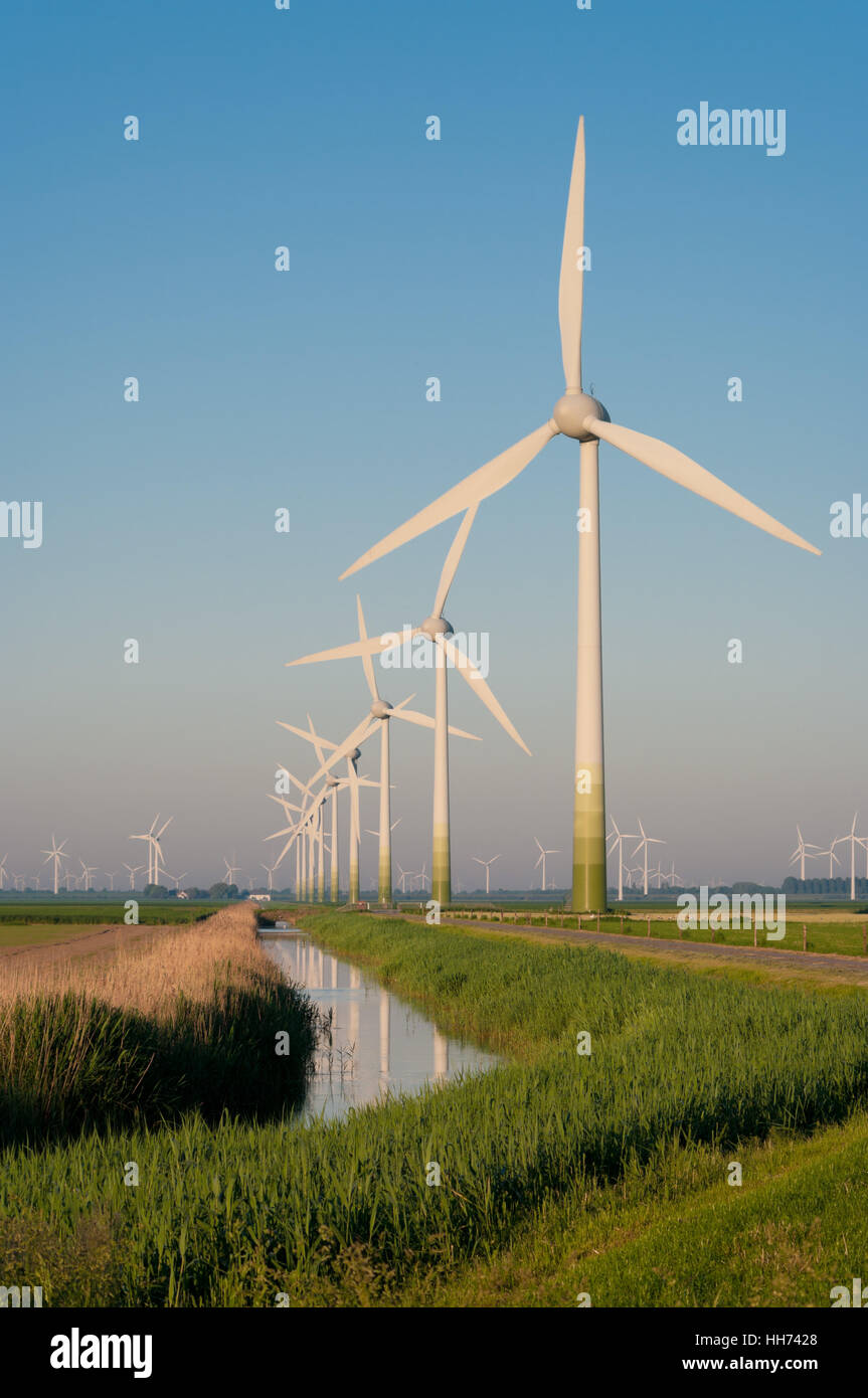 electric windmill
