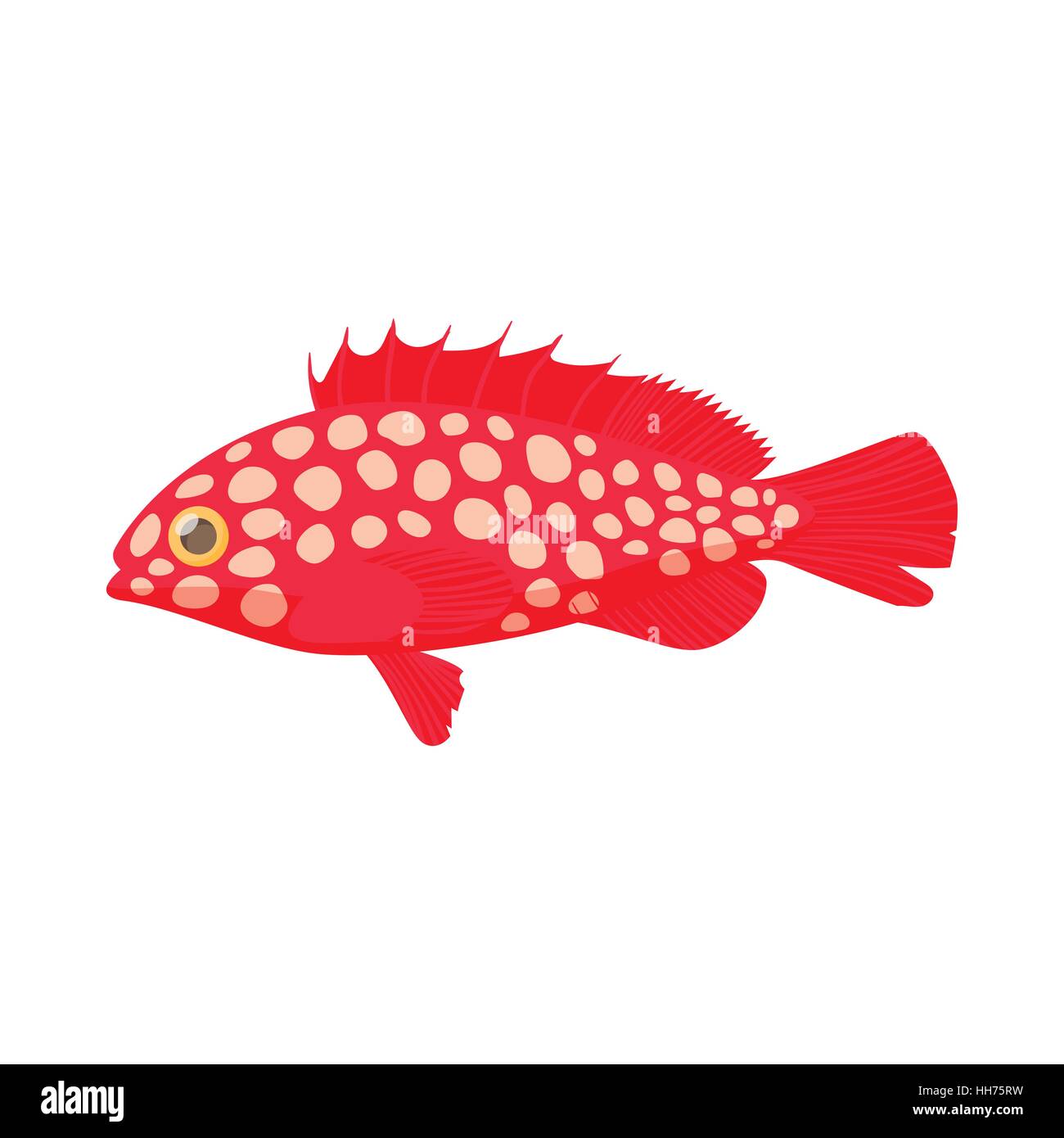 Hemichromis fish icon, cartoon style Stock Vector