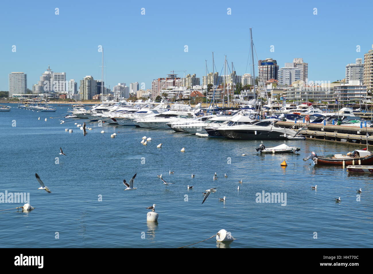 Yachts and boats docked at the scenic port of Punta del Este in Uruguay. Stock Photo