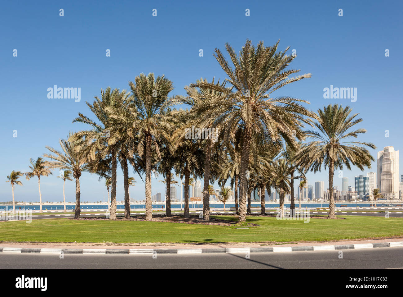 Palm trees in Dubai, United Arab Emirates Stock Photo