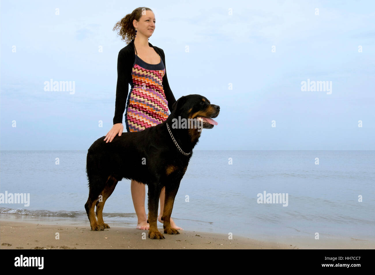 woman, dog, dapper, accosting, pretty, prettily, prettier, ravishing, Stock Photo