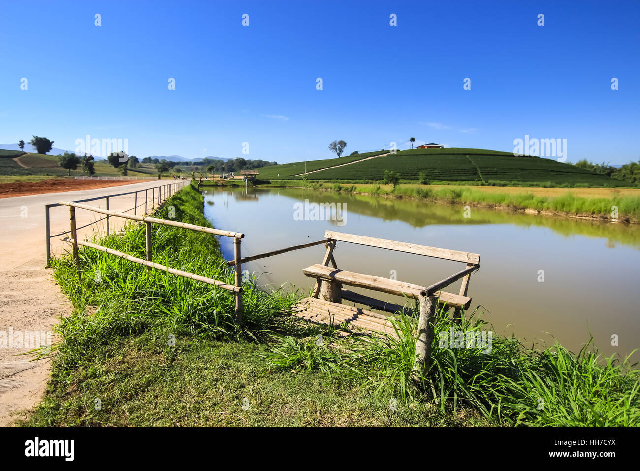 Bench in front of reservoir in the tea plantation, relaxation scene Stock Photo