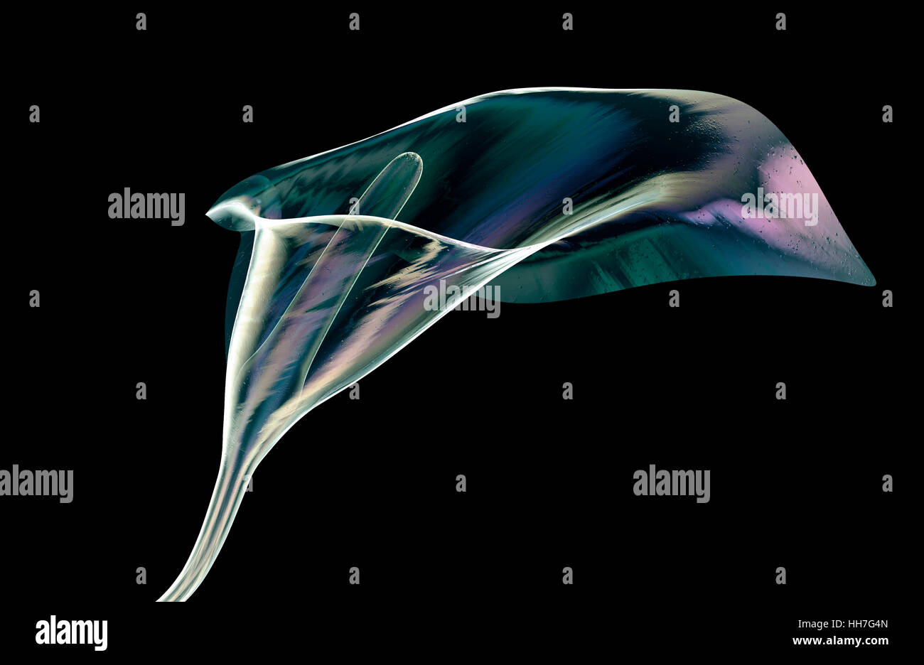 color glass flower isolated on black, the lilly calla, 3d illustration Stock Photo