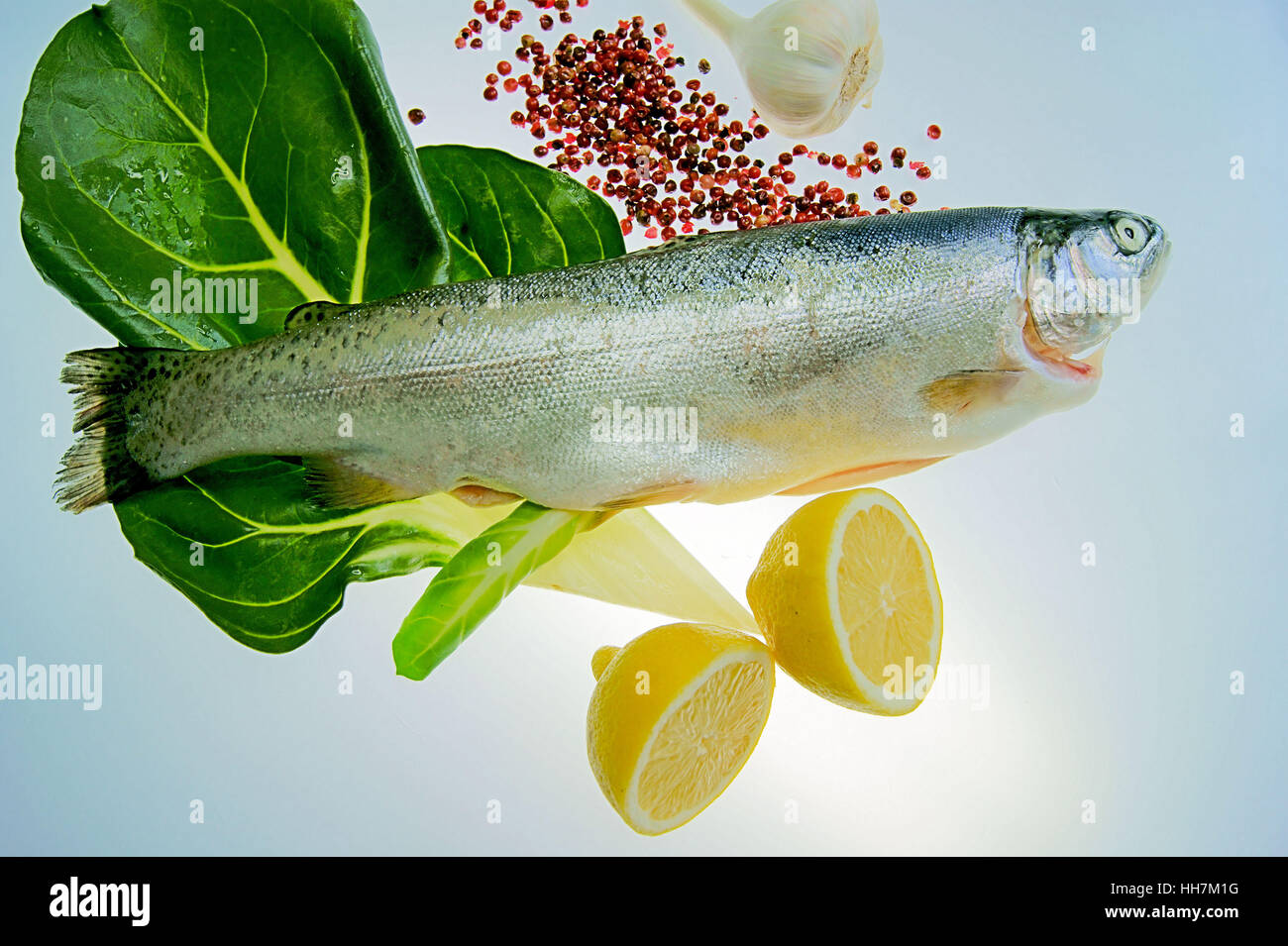 https://c8.alamy.com/comp/HH7M1G/fish-angle-fishing-trout-pisces-fishing-rod-trouts-food-aliment-HH7M1G.jpg