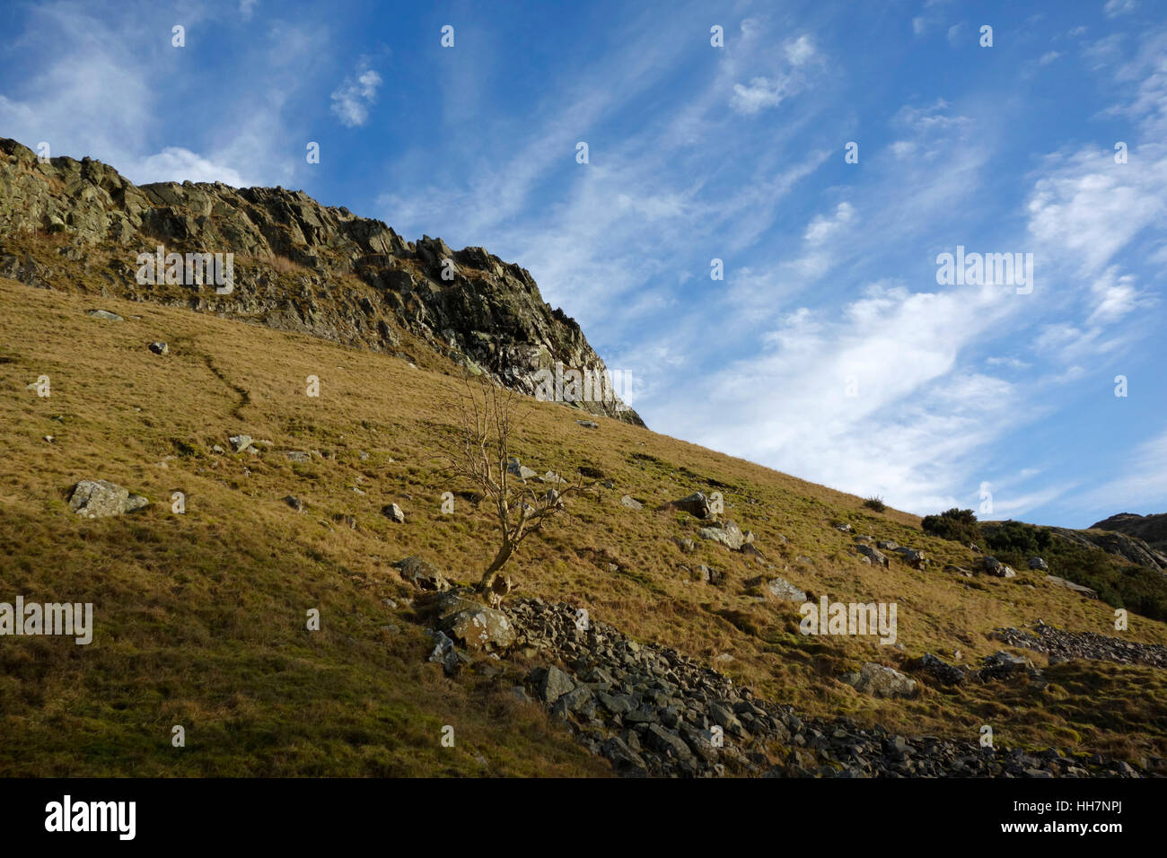 Looking up towards the top of Binny Craig from the west side of the hill Stock Photo