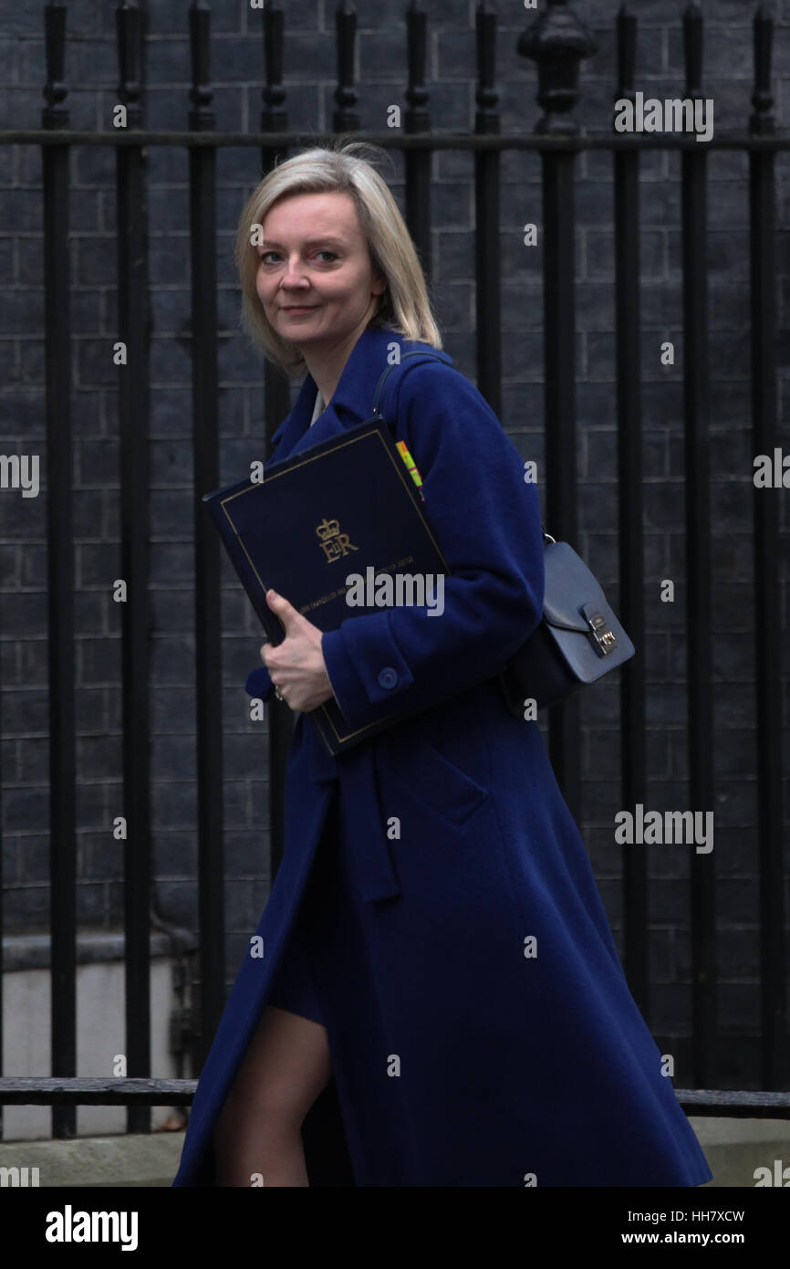 Liz Truss Portrait High Resolution Stock Photography and Images - Alamy