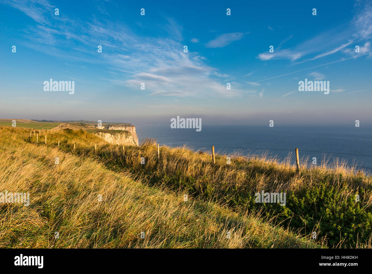 Beautiful morning sunshine on the clifftop path at Bempton cliffs on the east coast of England. Stock Photo
