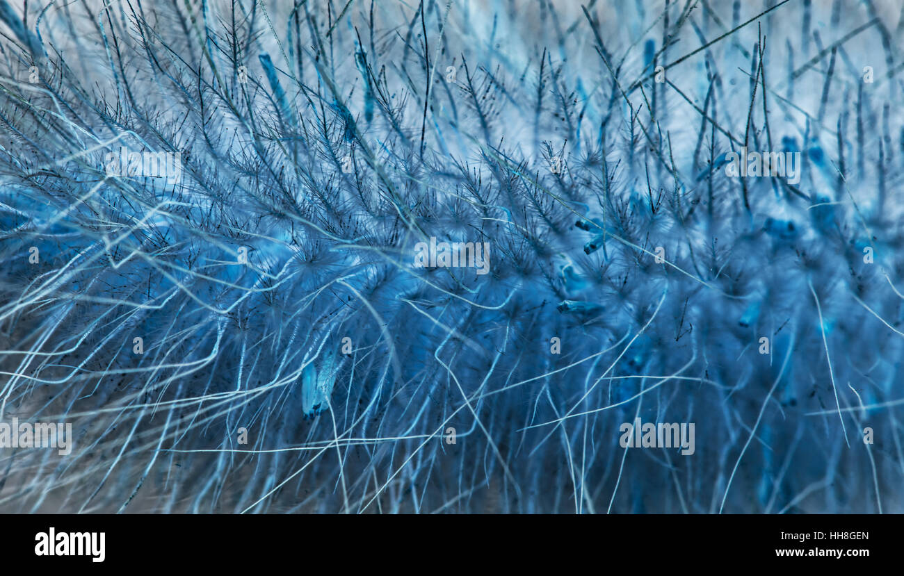 Abstract fibers nano structure with big magnification concept Stock ...